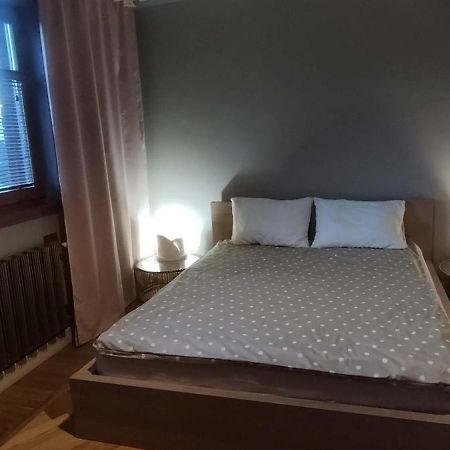 Patek Premium Apartments - Airport Lawica & Mtp & Car Races & International Trade Fairs Skórzewo Exteriör bild